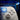 Flydigi Dune Fox | Controle Gamer com Efeitos Hall | Compatível com Switch, PC, IOS e Android